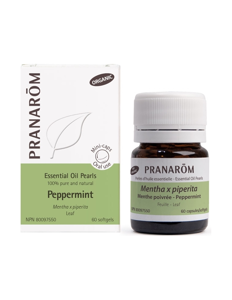 BIO kapsułki Mięta Mentha x piperita 60szt PRANARÔM suplement diety BIO kapsułki Mięta Mentha x piperita 60szt PRANARÔM suplement diety